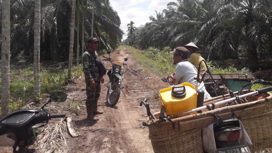 Pelda Andre Himbau Masyarakat Untuk Mencegah Karhutla