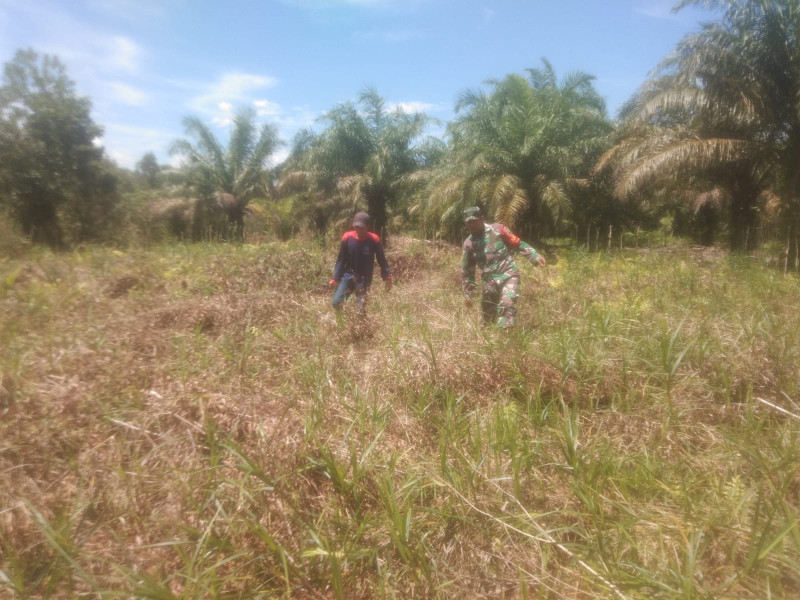 Patroli Sertu Ramli Dalam Mencegah Karhutla