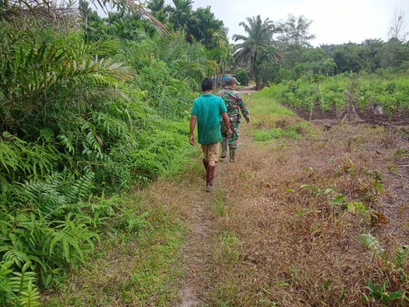 Babinsa Bagan Besar Tegaskan Larangan Membakar Hutan Saat Patroli Karlahut