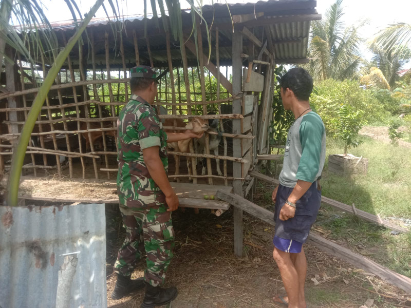 Serda Agustinus Laksanakan Sosialisasi Pencegahan PMK