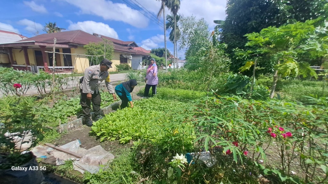 Program Ketahanan Pangan Terus Digencarkan, Polisi dan Petani Kompak Rawat Lahan Produktif