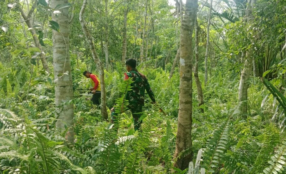 Tidak Ditemukan Titik Api, Patroli Karhutla Babinsa Desa Selat Akar Berjalan Kondusif