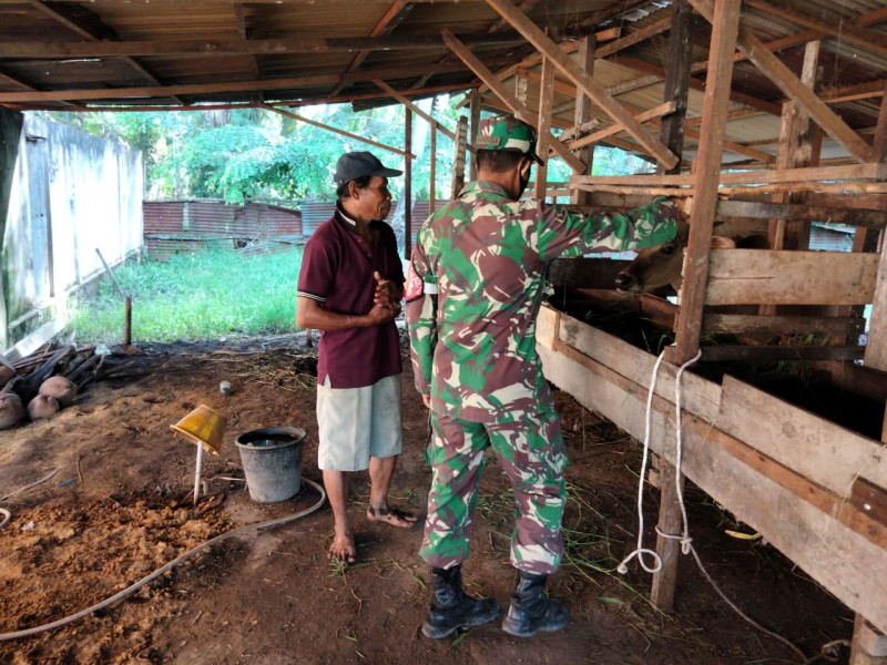 Sertu Sugianto Berikan Pemahaman Pencegahan PMK Kepada Peternak