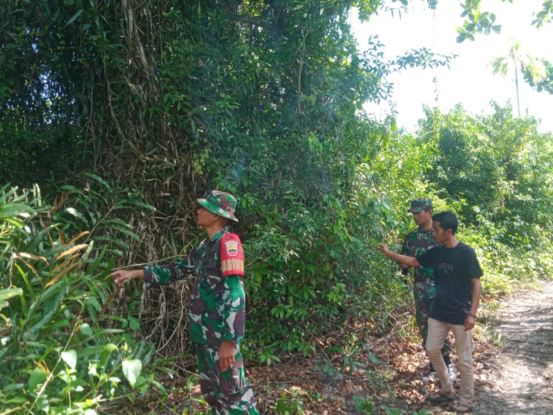 Tim Dari Babinsa Koramil 06 Merbau Melaksanakan Monitoring Wilayah