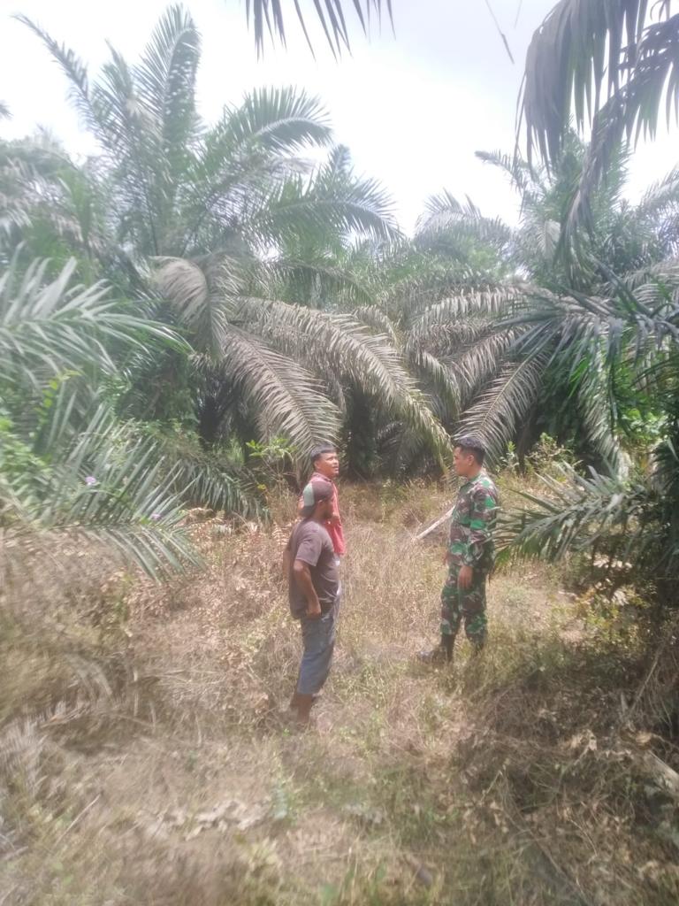 Patroli Rutin Oleh Serma Nofrianto Babinsa Koramil 03