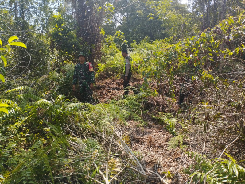Cegah Karhutla, Babinsa Merbau Laksanakan Patroli