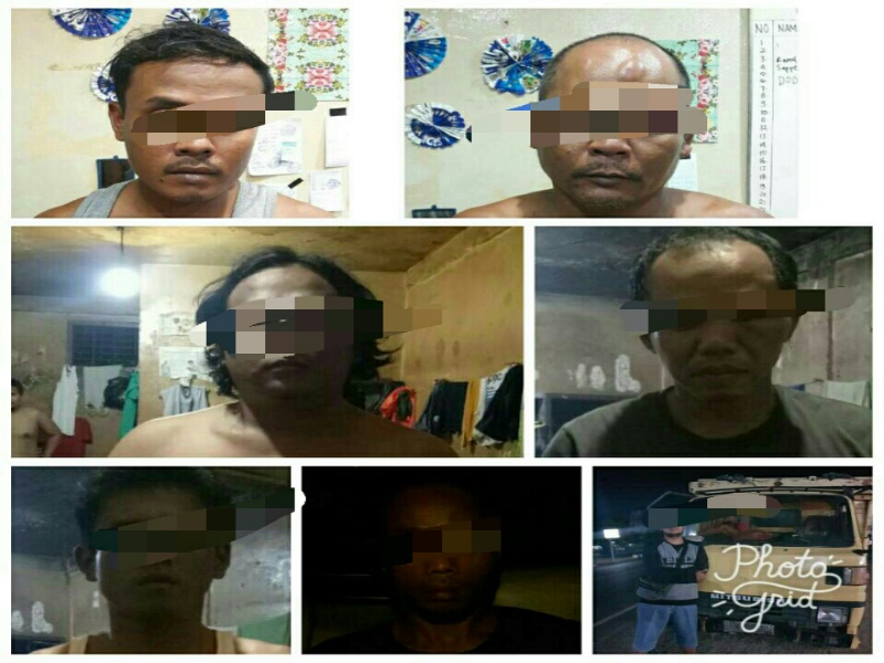 6 Pelaku Spesialis Pencuri Sapi Diamankan Polsek Mandau
