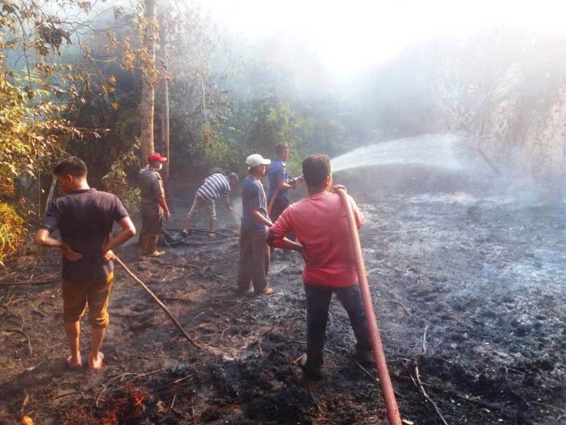 Upaya Damkar Menangani Karhutla di Kabupaten Kuantan Singgingi