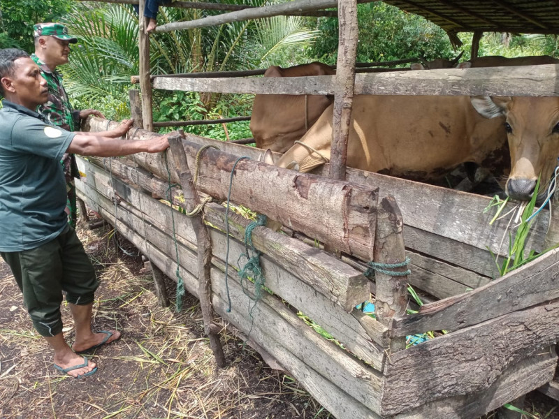 Giat Pencegahan PMK Oleh Serda Ansari