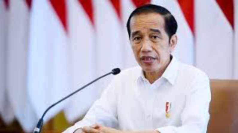 Presiden Jokowi Cabut 2.078 Izin Tambang