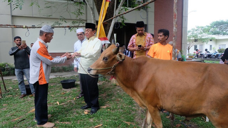 Bupati Saksikan Penyembelihan 9 Ekor Hewan Qurban Setda Inhil