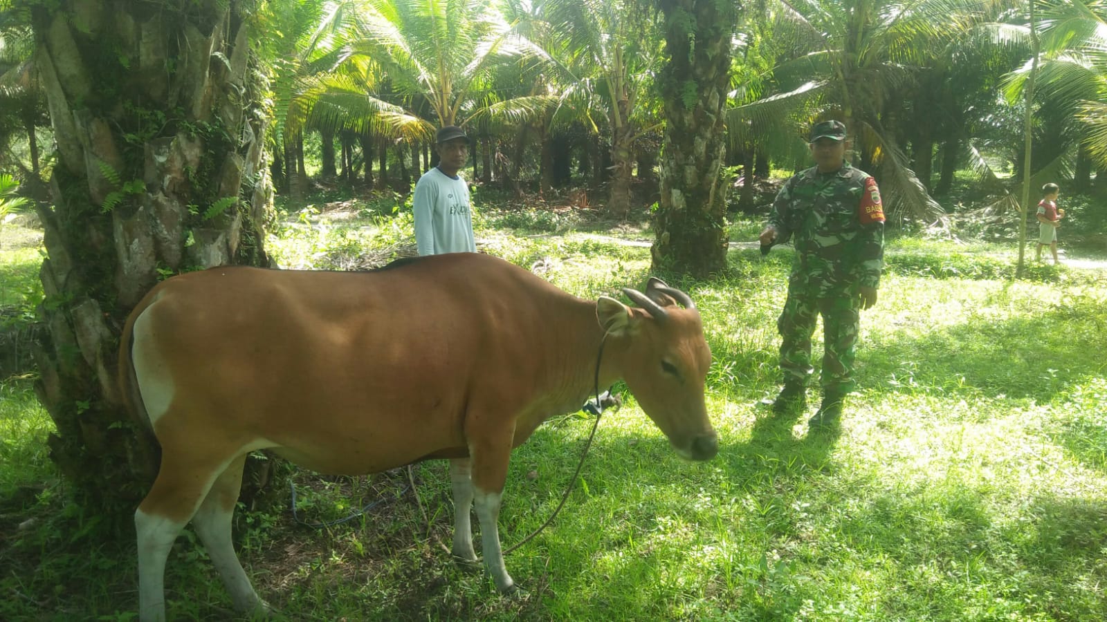 Serda Cerza Katno Lakukan Giat Pencegahan PMK