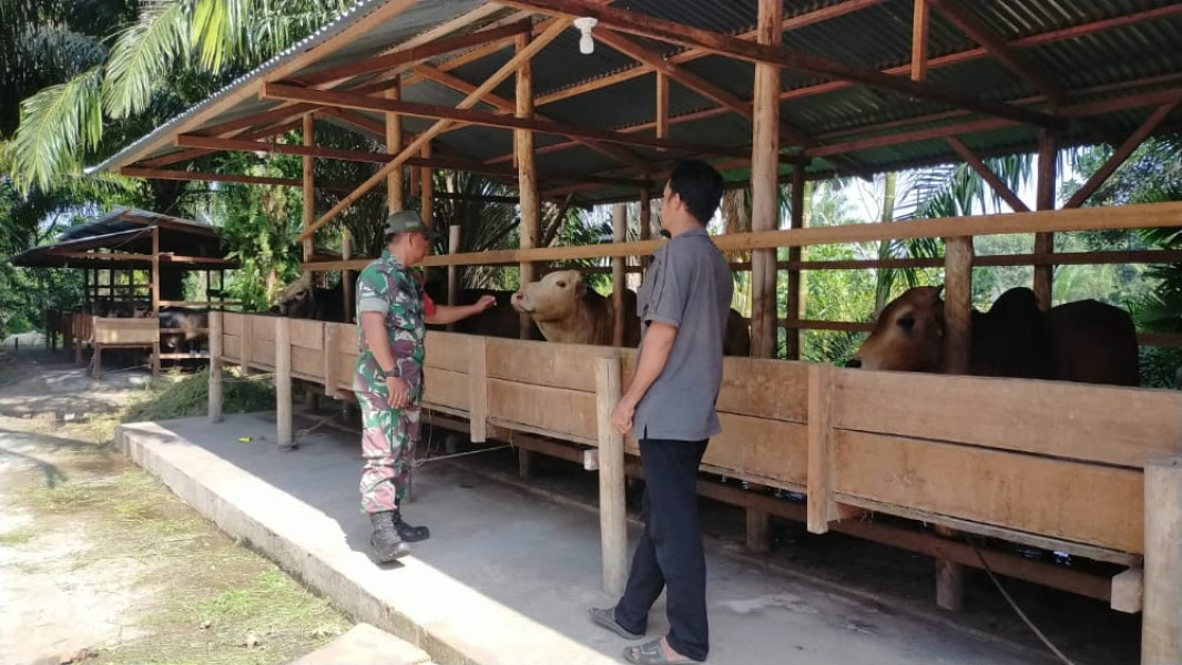 Serda Jum'at Desmanto Laksanakan Pengecekan Kesehatan Hewan Ternak