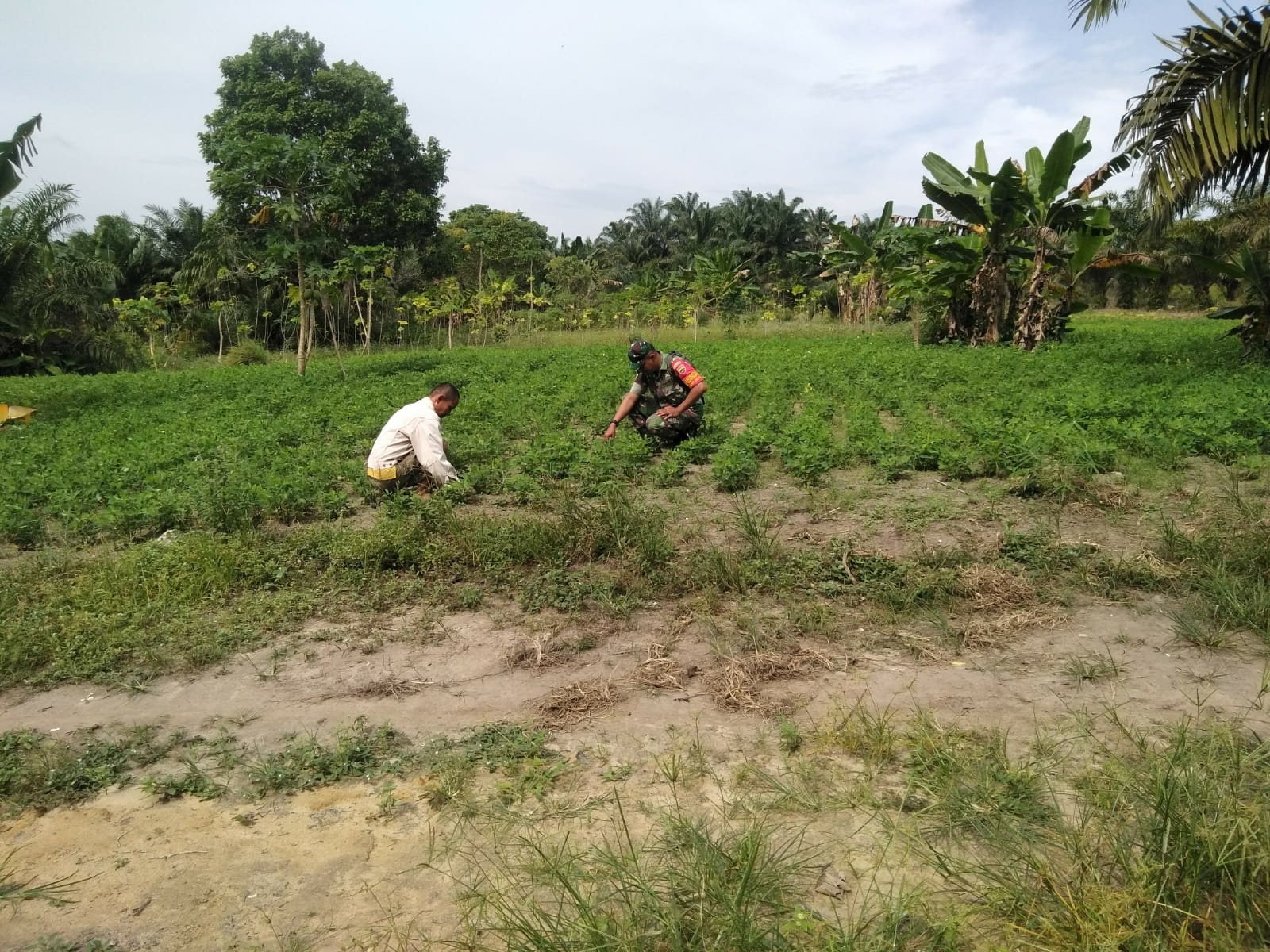 Kopda M Togatorop Melaksanakan Program Pendampingan Karya Nyata