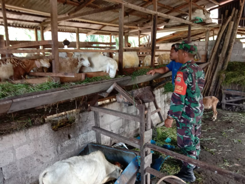 Sertu Jainal Arifin Harap Peternak Terus Perhatikan Kebersihan Kandangnya