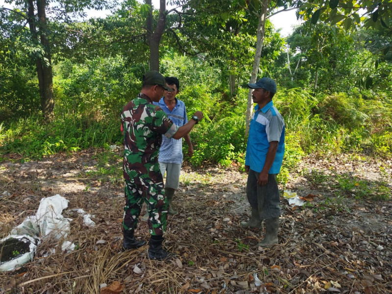 Babinsa Kelurahan Ratu Sima Gelar Patroli Karhutla di Wilayah Rawan