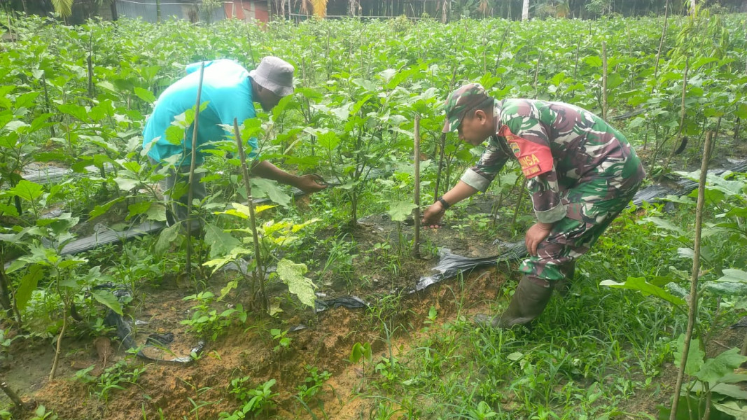 Sosialisasi Pendampingan Karya Nyata dan Pencegahan Karhutla Oleh Babinsa Sertu Jumat Desmanto