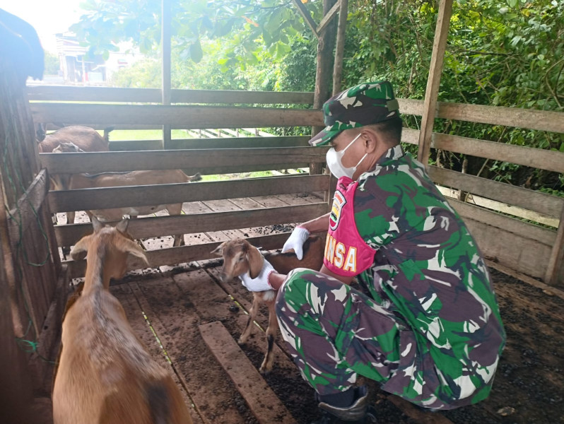 Serka Eri Efrianto Datangi Peternak Guna Memastikan Kesehatan Hewan Ternak