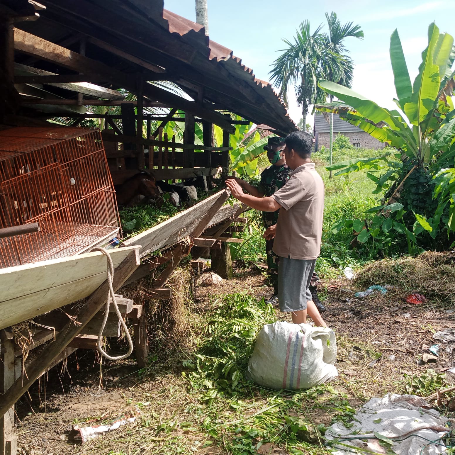 Serda Ahmad Junaidi Laksanakan Sosialisasi Cegah PMK