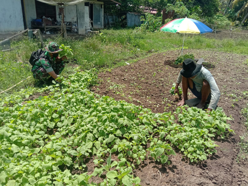 Serda Priyo Sudarmo Melaksanakan Edukasi Kepada Petani Bayam