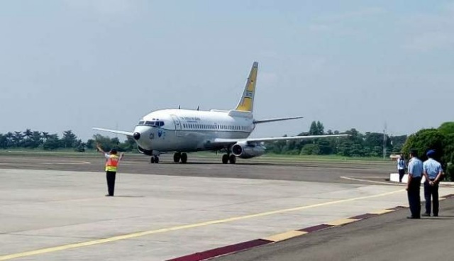 Sapi di Bandara Kacaukan Penerbangan di India