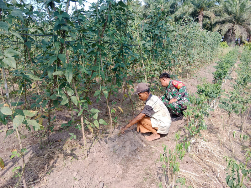 Sertu Mahyudin Laksanakan Giat Ketahan Pangan