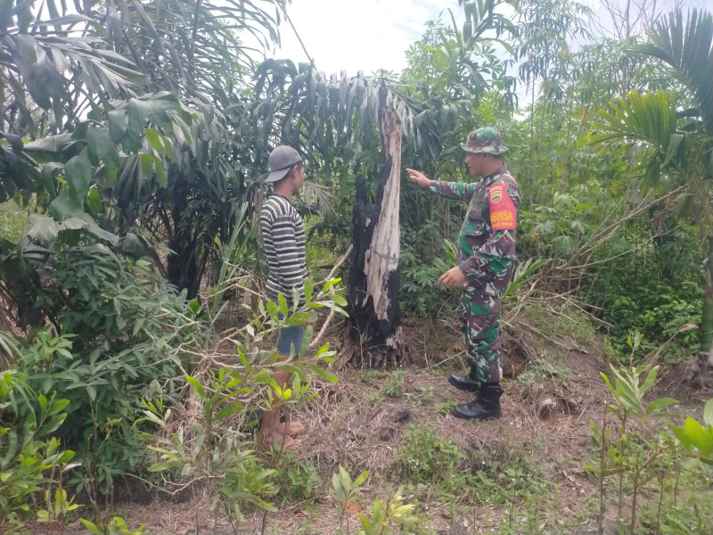 Babinsa Teluk Binjai Lakukan Patroli Cegah Karhutla di Wilayah Rawan