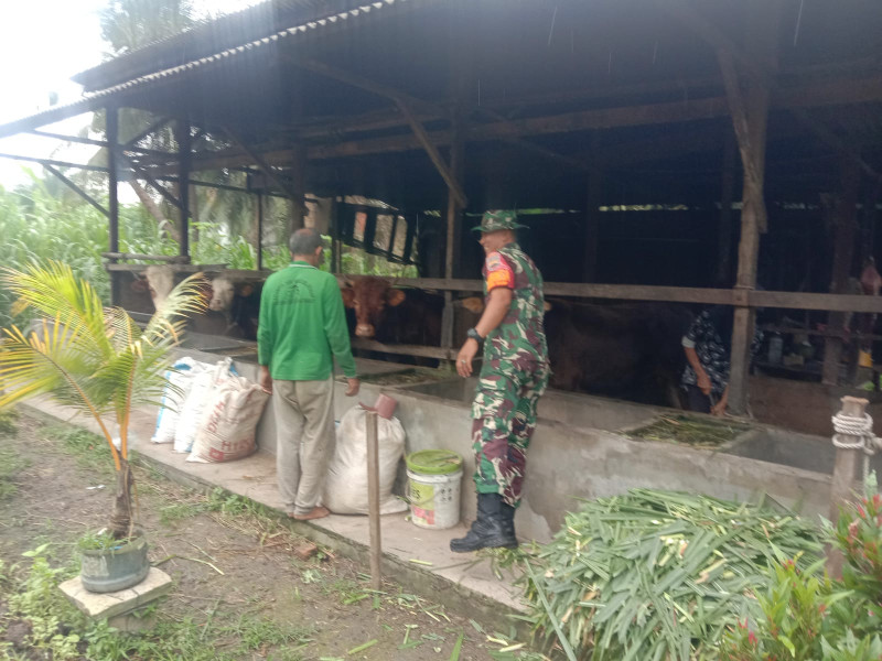 Serda Priyo Sudarmo Terus Ingatkan Kepada Peternak Agar Selalu Menjaga Kebersihan Kandang