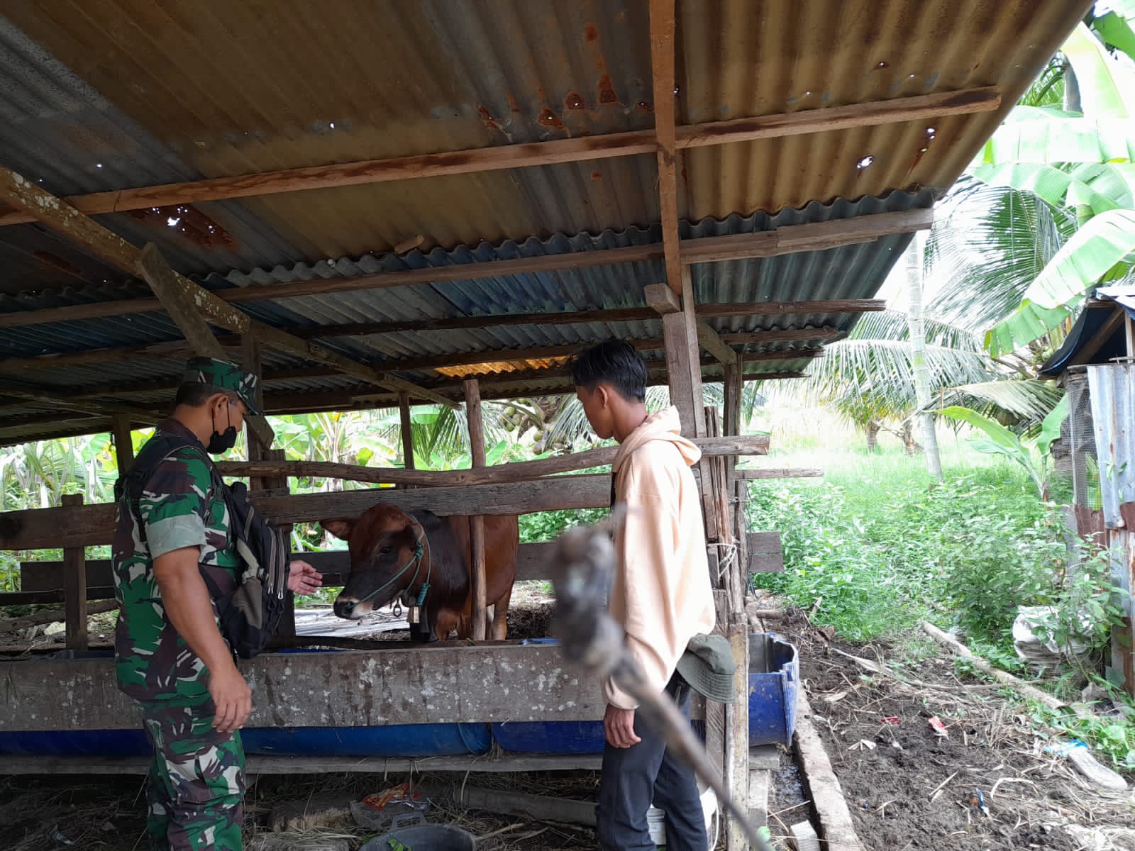 Giat Pencegahan PMK, Pelda Sapi'i Pantau Wilayah Binaannya