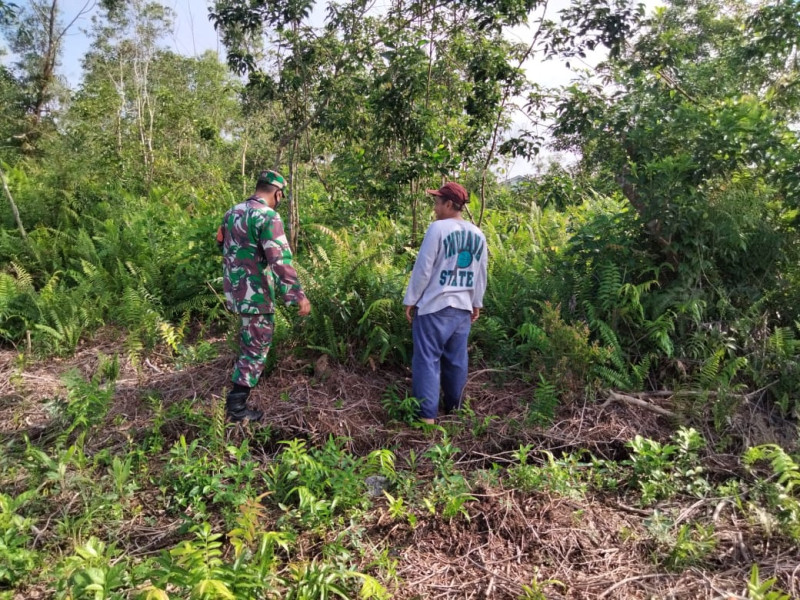 Langkah Nyata Babinsa Koramil 01 Dalam Mencegah Terjadinya Karhutla