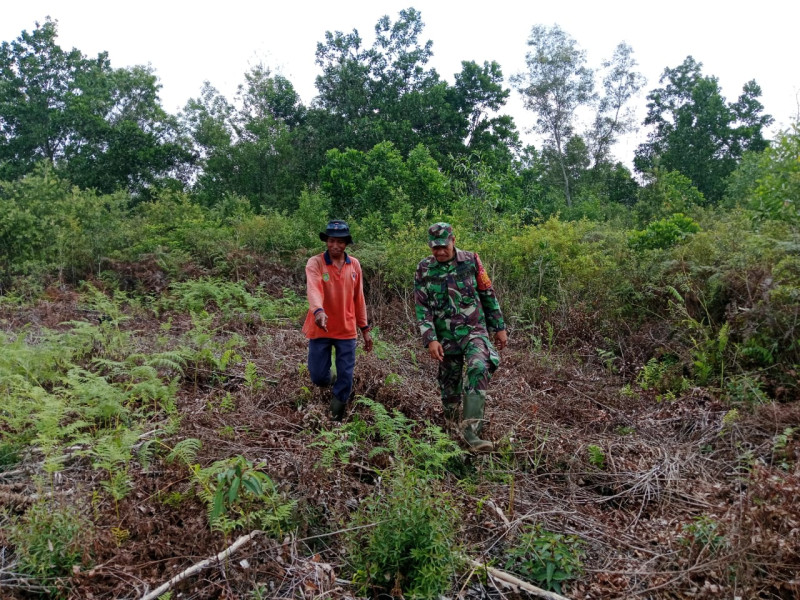 Sertu Samsuddin Siregar Giatkan Patroli di Wilayah Rawan Karhutla