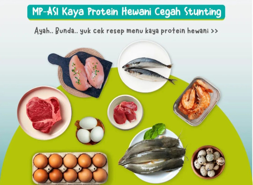 Dinkes Inhil: Yuk Masyarakat Inhil Kita Atasi Stunting Dengan MP-ASI Kaya Protein Hewani