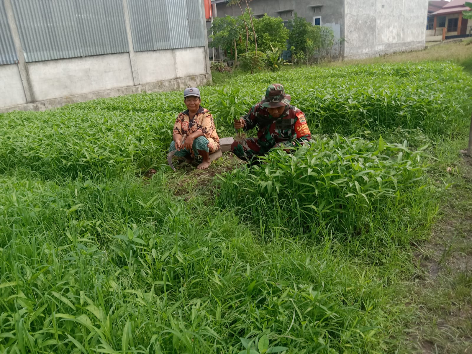 Serka Suandi Laksanakan Pendampingan Karya Nyata dan Sosialisasi Pencegahan Karhutla