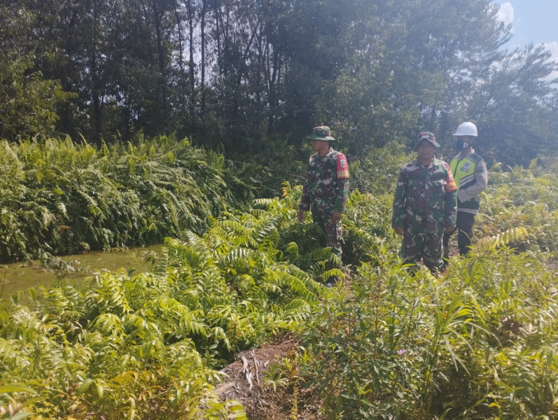 Serka Eri Efrianto Pimpin Pelaksanaan Patroli Cegah Karhutla