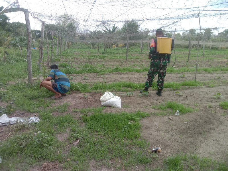 Serda Agustinus Berikan Edukasi Kepada Petani Mentimun