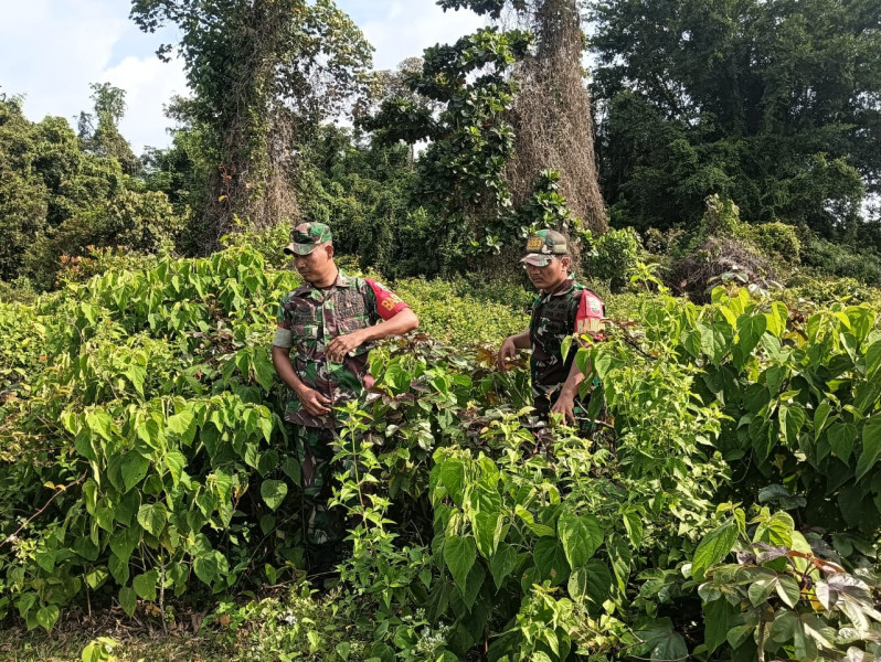 Patroli Karhutla, Upaya Babinsa dan Warga Selat Akar Jaga Lingkungan