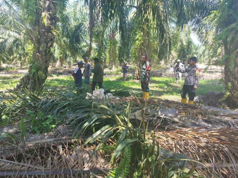 Pelaksanaan Giat Cegah Karhutla Dilaksanakan Babinsa Serda Miftah