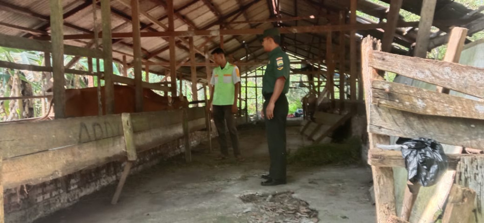 Serda Edi Saputra Cek Kesehatan Hewan Ternak