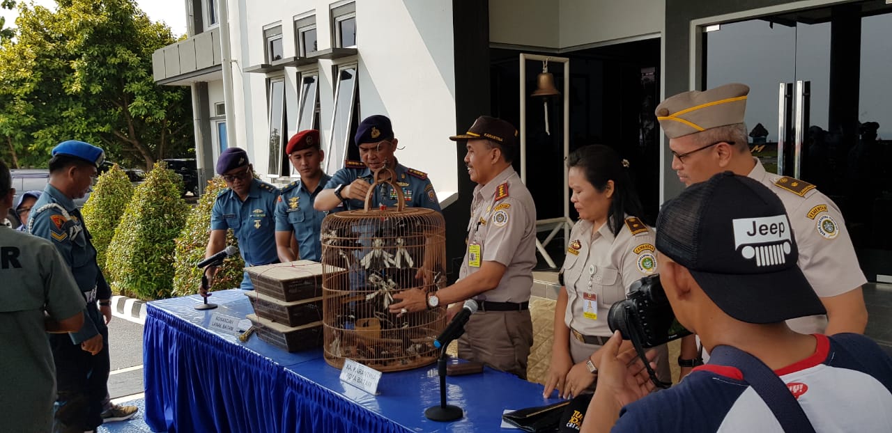 Tim F1QR Lanal Batam Gagalkan Penyeludupan 500 Ekor Burung Kacer dari Malaysia