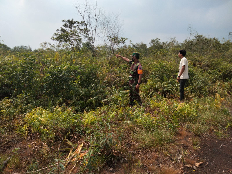 Pastikan Wilayahnya Aman Dari Karhutla, Sertu Sugianto Laksanakan Monitoring