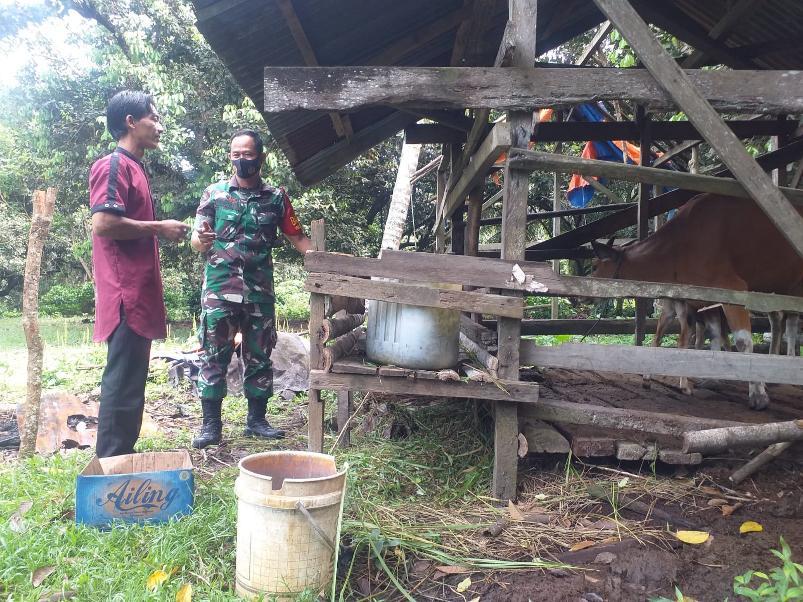Kopda Andri Waluyo Melaksanakan Sosialisasi Pencegahan PMK