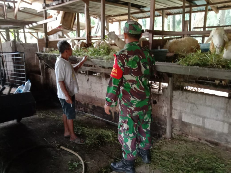 Sertu Jainal Arifin Berikan Tips Mencegah PMK