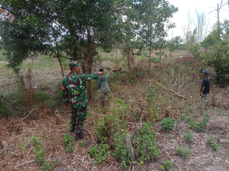 Babinsa Serda Agustinus Laksanakan Giat Pencegahan Karhutla