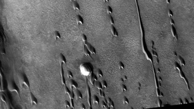 Bukti Kehidupan Lain di Planet Mars