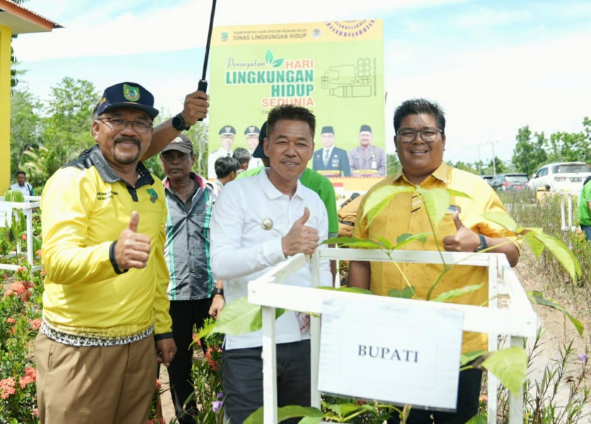 Peringati Hari Lingkungan Hidup se- Dunia, Pemkab Rohil Tanam 500 Pohon