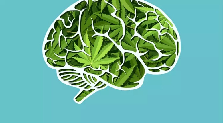 Ini Efek Buruk Ganja pada Otak
