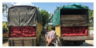 2 Truk Pengangkut Bawah Merah India, Diamankan Polisi Siak