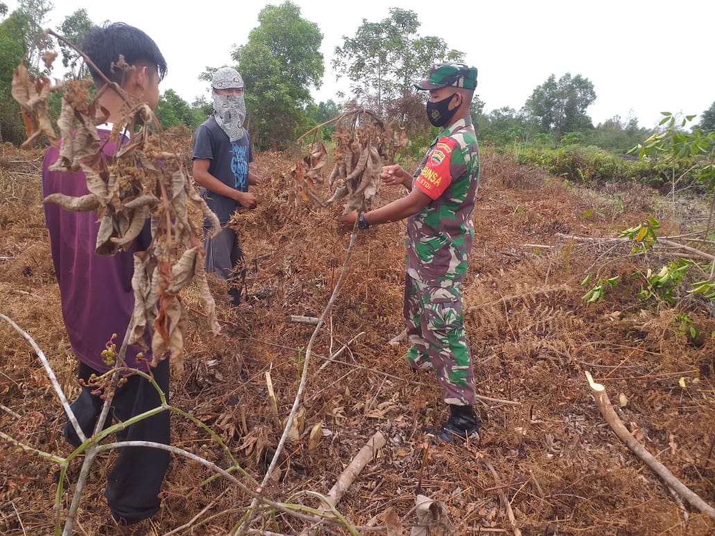 Pelaksanaan Giat Cegah Karhutla Terus Dilakukan Oleh Kodim 0320/Dumai