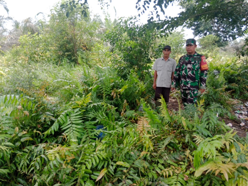 Babinsa Koramil 01/Dumai Gelar Patroli Karhutla di Wilayah Rawan RT 9 Kelurahan Purnama