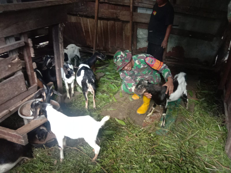 Serda Priyo Berikan Pemahaman Terkait Pencegahan PMK